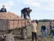 Студенты 