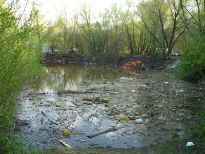 Пруд "Сухой". Фото: Владимир Лапкин, Каспаров.Ru