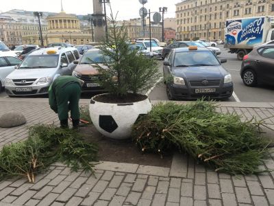 "Озеленение" клумб с помощью веток в Петербурге. Фото: vk.com/mytndvor