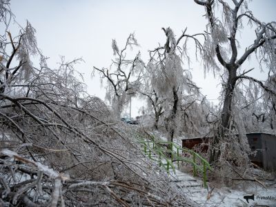 Последствия непогоды во Владивостоке. Фото: PrimaMedia