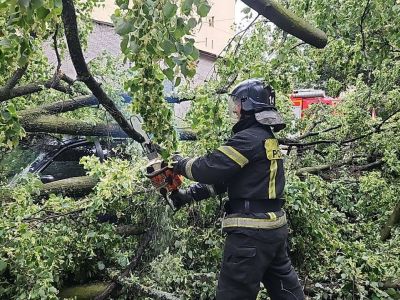 Спасатели МЧС России ликвидируют последствия непогоды в Петербурге. Фото: МЧС России